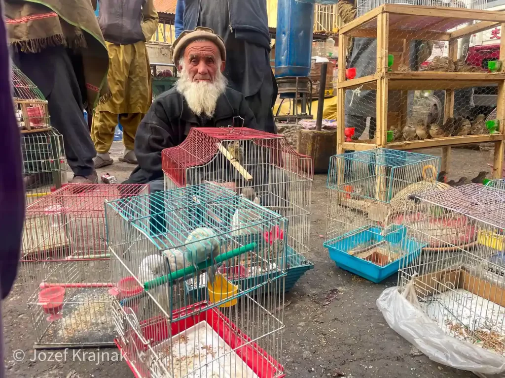 Kabul's bird bazaar has a long history. That's why it's usually visited by tourists in Kabul.