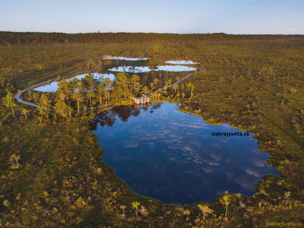 rašelinisko soomaa estonia