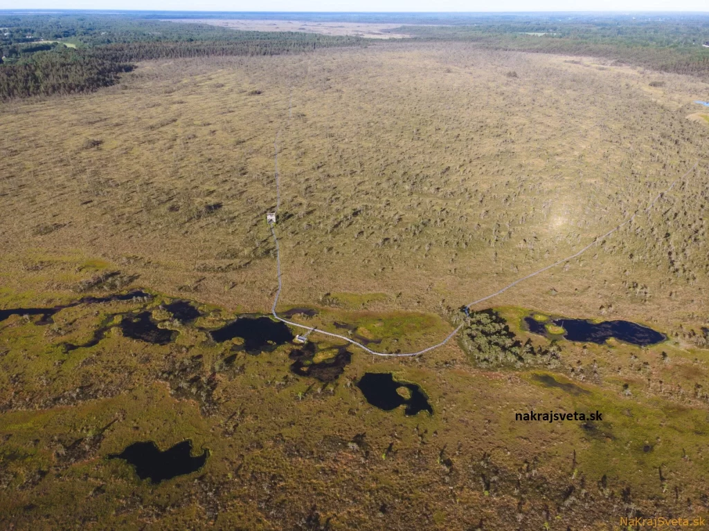 rašeliniska soomaa estonsko dron