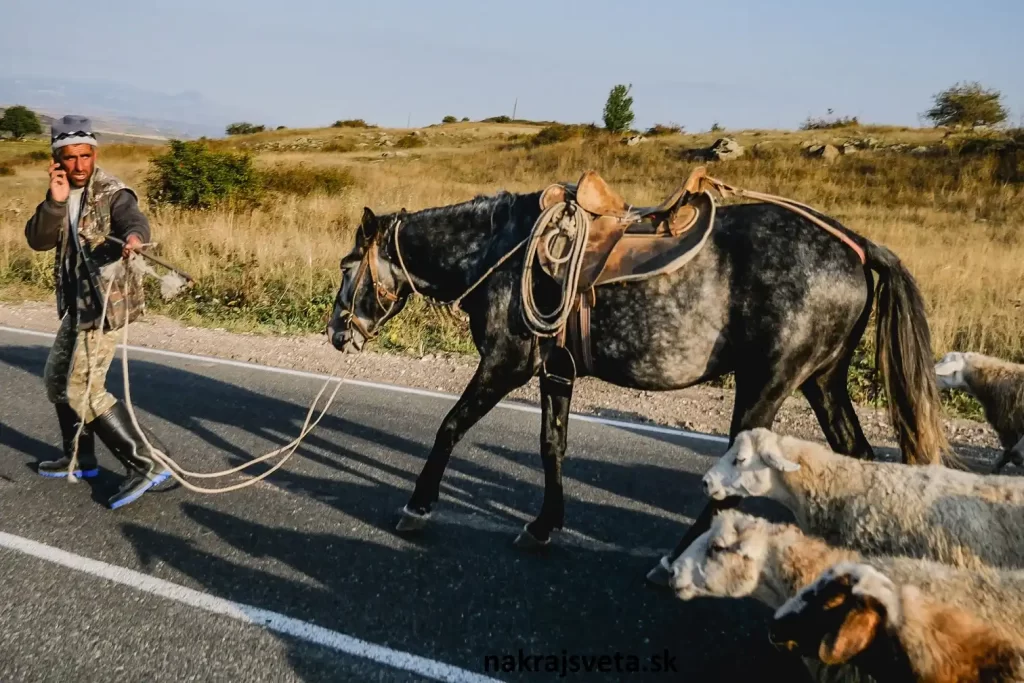 cestovanie po Arménsku pastier, koník