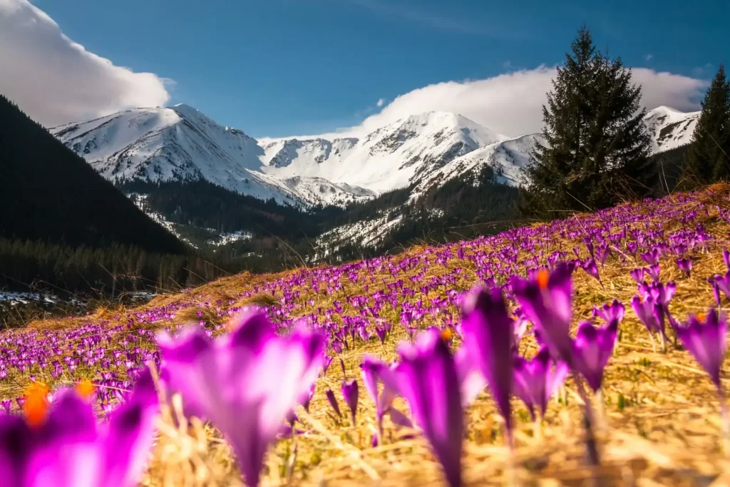 Atrakcie v Polsku tatry